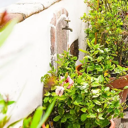 Landhaus Chamorga - - - Santa Cruz de Tenerife