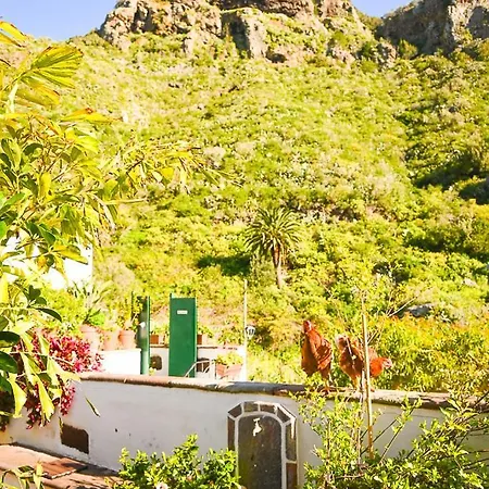 Chamorga - - - Lantställe