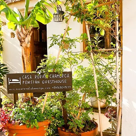 Landhaus Chamorga - - - Santa Cruz de Tenerife