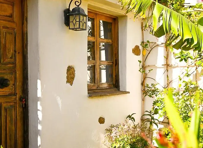 Chamorga - - - * サンタクルスデテネリフェ