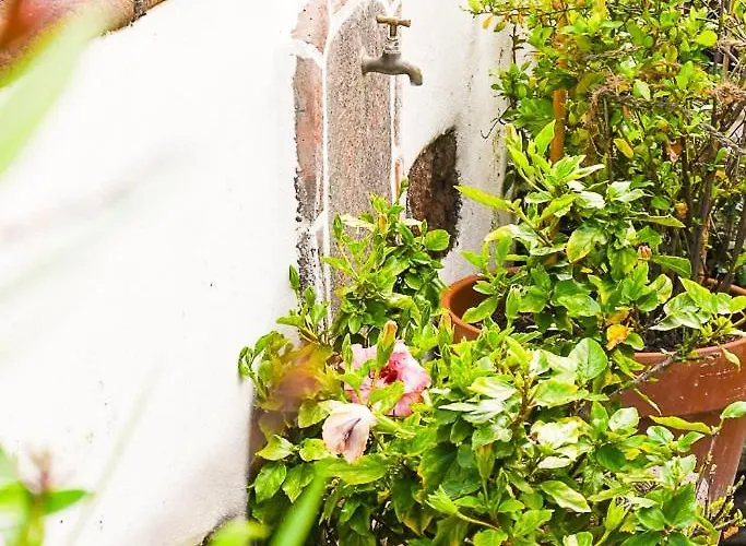 בית כפרי Chamorga - - - סנטה קרוז דה טנריף