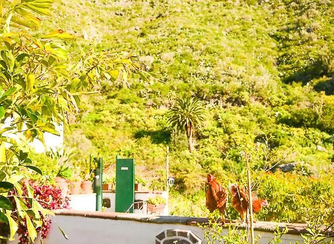 Chamorga - - - בית כפרי