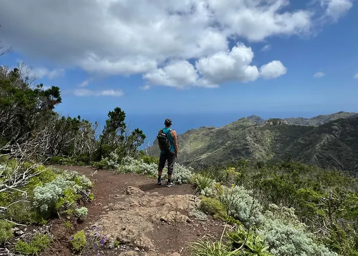 Chamorga - - - カントリーハウス サンタクルスデテネリフェ