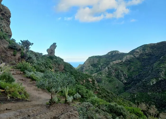 Chamorga - - - Landsted