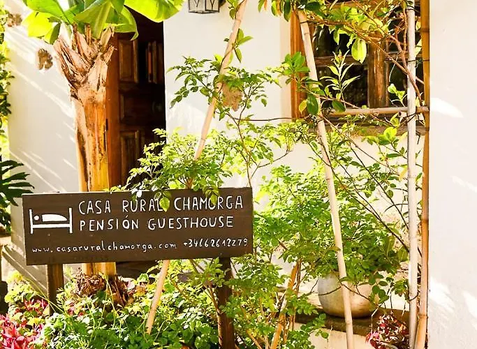 Landhaus Chamorga - - - Santa Cruz de Tenerife